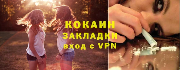 эйфоретик Дмитриев