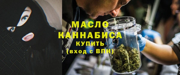 спайс Ельня