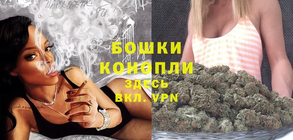 эйфоретик Дмитриев