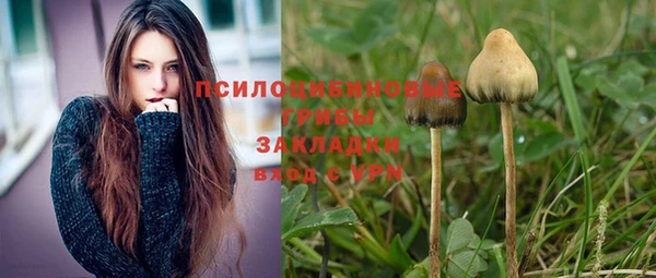 прущий лед Нея