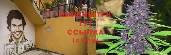 дурь Елабуга