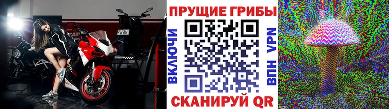 Псилоцибиновые грибы Magic Shrooms  наркота  Пикалёво 